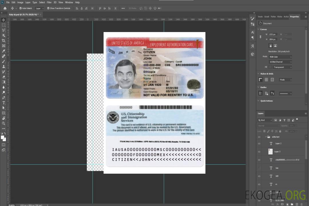 Carte d'autorisation de travail aux États-Unis version 2 template